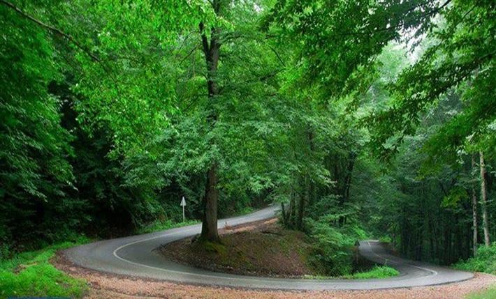 احیای بافت روستای هدف گردشگری بنفش تپه بندر گز احیای بافت روستای هدف گردشگری بنفش تپه بندر گز