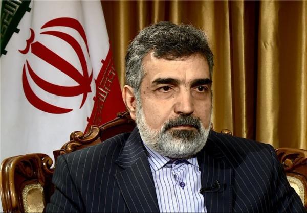 توضیحات کمالوندی درباره اظهارات مدیرکل آژانس بین المللی انرژی اتمی