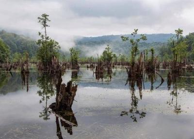 دریاچه ای خوف ناک در میان جنگل های مازندران