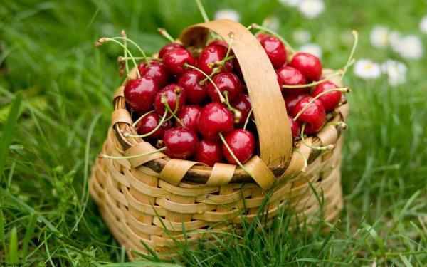 مصرف این 5 میوه و آجیل شما را از بی خوابی نجات می دهد مصرف این 5 میوه و آجیل شما را از بی خوابی نجات می دهد