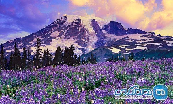 تفریح در پارک Mount Rainier، پارکی دیدنی و زیبا