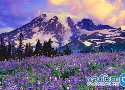 تفریح در پارک Mount Rainier، پارکی دیدنی و زیبا