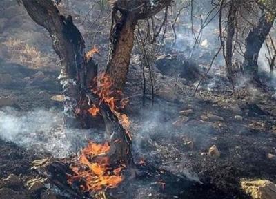 آتش سوزی در پارک ملی گلستان
