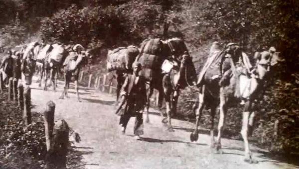 تصویری جالب و قدیمی از جاده رشت به قزوین؛ 65 سال قبل